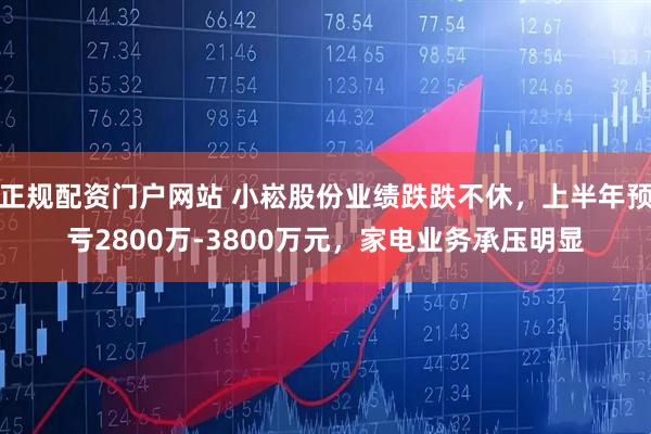 正规配资门户网站 小崧股份业绩跌跌不休，上半年预亏2800万-3800万元，家电业务承压明显
