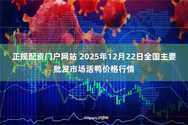 正规配资门户网站 2025年12月22日全国主要批发市场活鸭价格行情